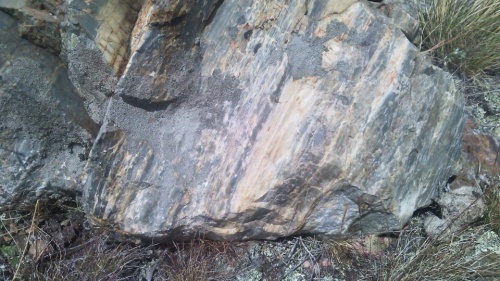 Гигантские зелёные валуны для ландшафтного дизайна весом более 5 тонн купить в Саратове